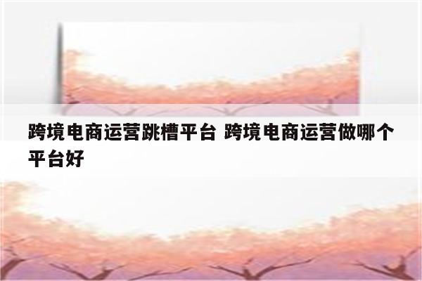 跨境电商运营跳槽平台 跨境电商运营做哪个平台好