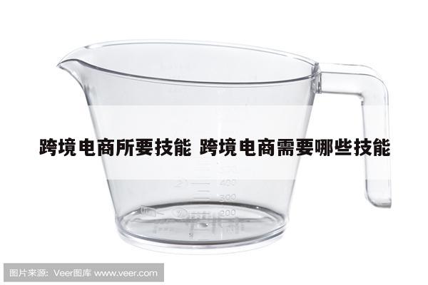 跨境电商所要技能 跨境电商需要哪些技能