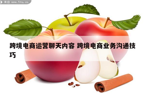 跨境电商运营聊天内容 跨境电商业务沟通技巧