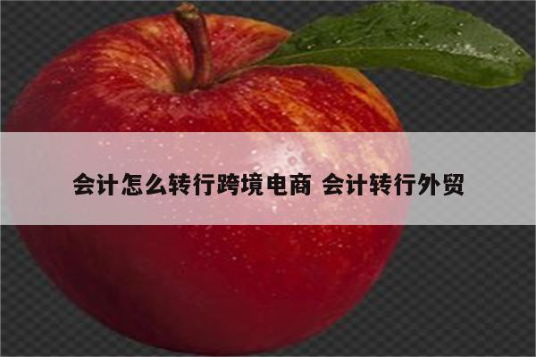 会计怎么转行跨境电商 会计转行外贸
