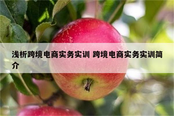 浅析跨境电商实务实训 跨境电商实务实训简介