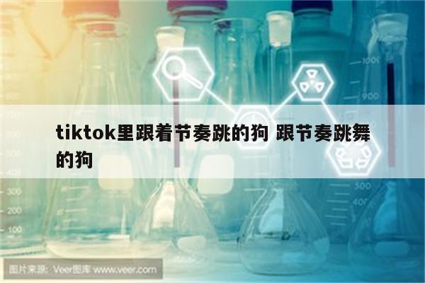 tiktok里跟着节奏跳的狗 跟节奏跳舞的狗