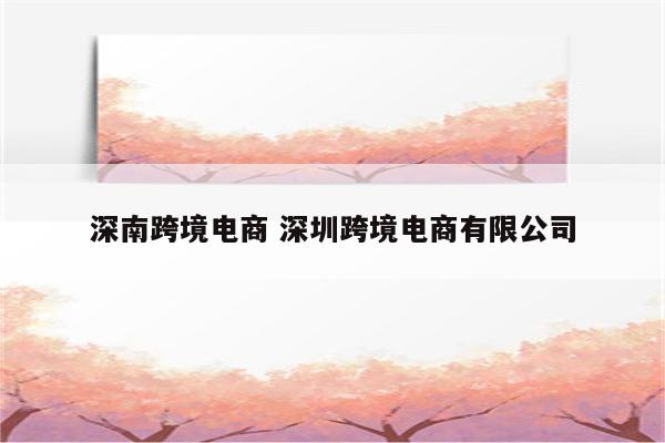 深南跨境电商 深圳跨境电商有限公司