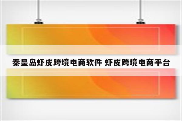 秦皇岛虾皮跨境电商软件 虾皮跨境电商平台