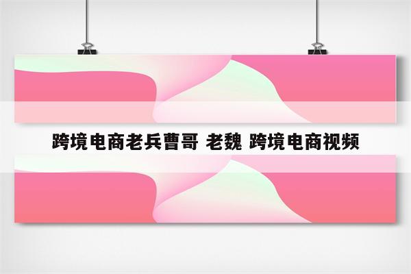 跨境电商老兵曹哥 老魏 跨境电商视频