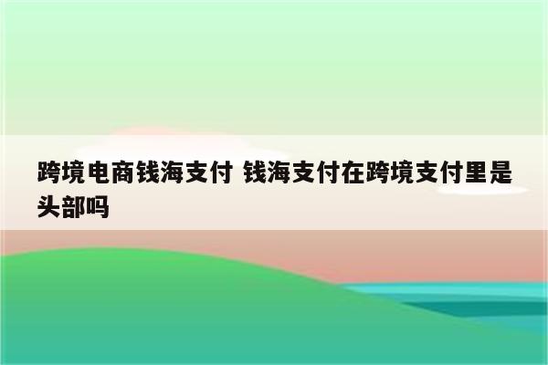 跨境电商钱海支付 钱海支付在跨境支付里是头部吗
