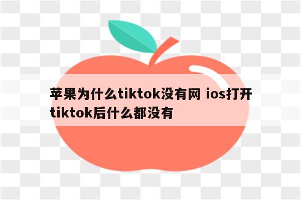 苹果为什么tiktok没有网 ios打开tiktok后什么都没有