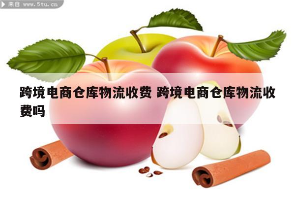 跨境电商仓库物流收费 跨境电商仓库物流收费吗