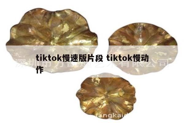tiktok慢速版片段 tiktok慢动作