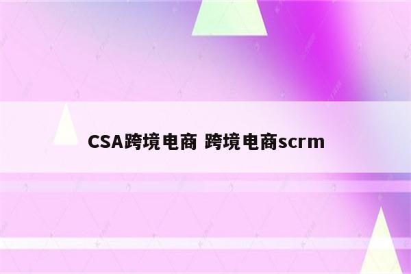 CSA跨境电商 跨境电商scrm