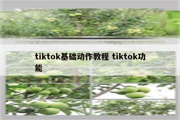tiktok基础动作教程 tiktok功能