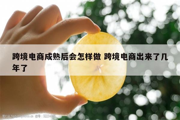 跨境电商成熟后会怎样做 跨境电商出来了几年了