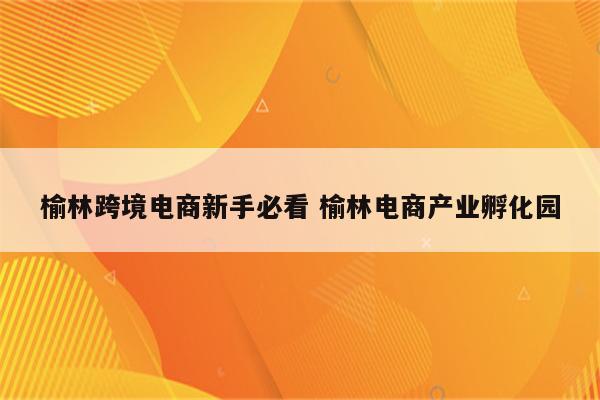 榆林跨境电商新手必看 榆林电商产业孵化园