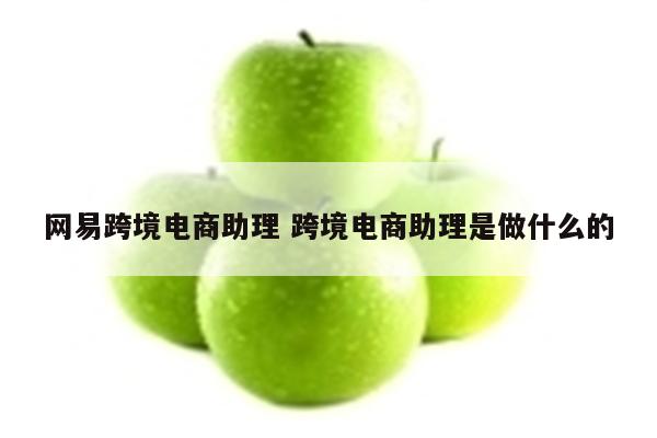 网易跨境电商助理 跨境电商助理是做什么的