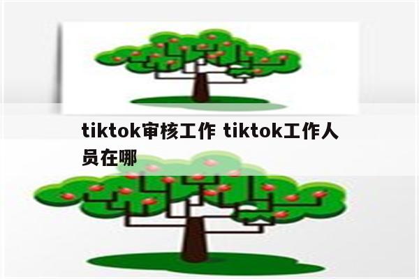 tiktok审核工作 tiktok工作人员在哪