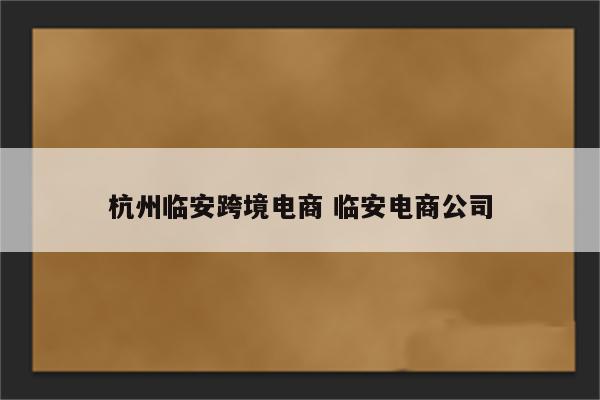 杭州临安跨境电商 临安电商公司