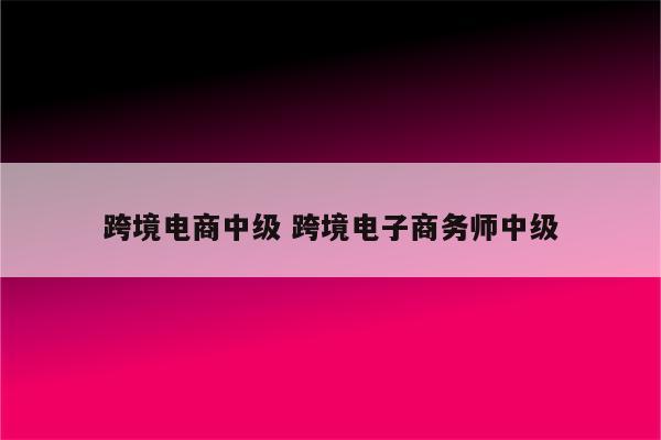 跨境电商中级 跨境电子商务师中级