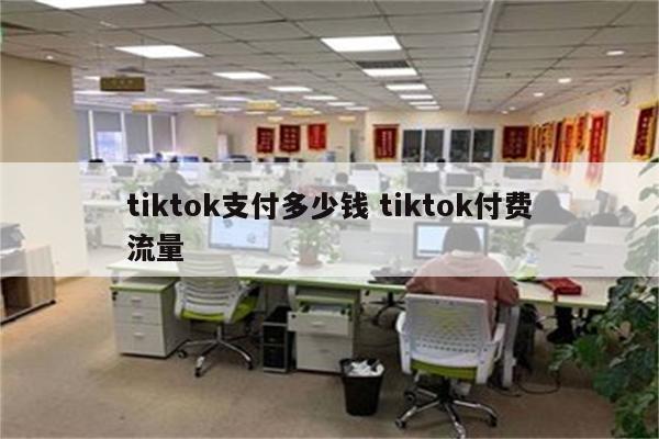tiktok支付多少钱 tiktok付费流量