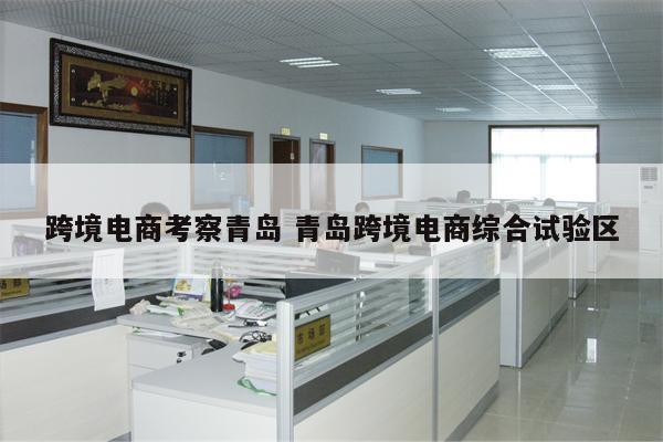 跨境电商考察青岛 青岛跨境电商综合试验区