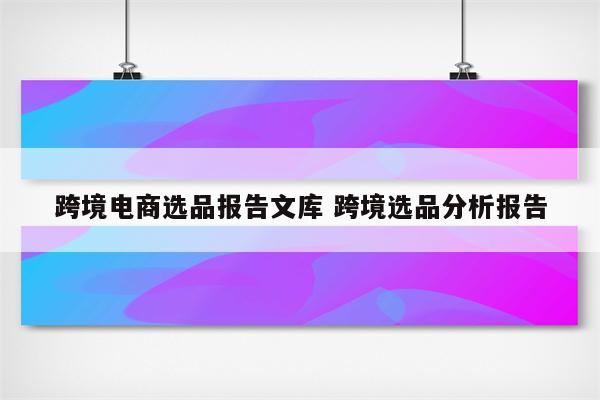 跨境电商选品报告文库 跨境选品分析报告