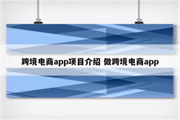 跨境电商app项目介绍 做跨境电商app