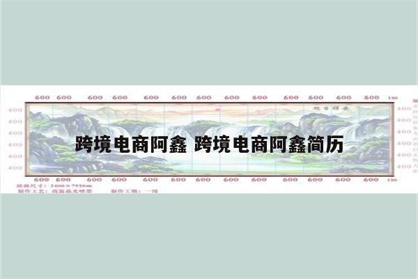 跨境电商阿鑫 跨境电商阿鑫简历