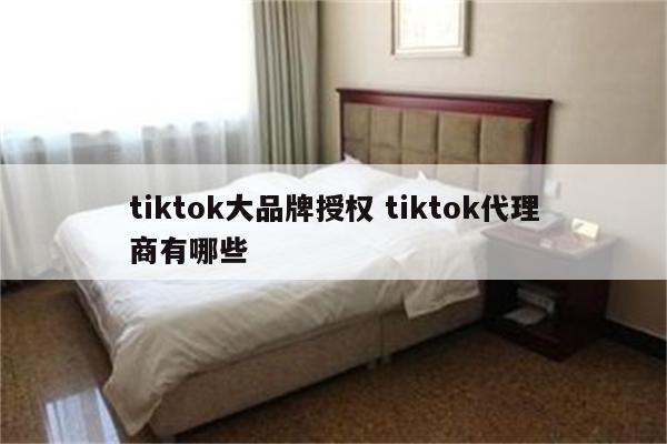 tiktok大品牌授权 tiktok代理商有哪些
