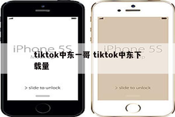 tiktok中东一哥 tiktok中东下载量