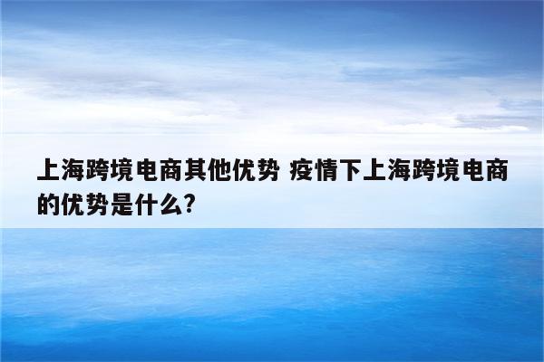 上海跨境电商其他优势 疫情下上海跨境电商的优势是什么?