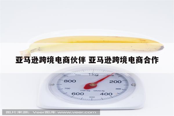 亚马逊跨境电商伙伴 亚马逊跨境电商合作