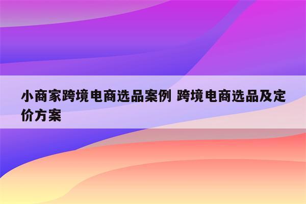 小商家跨境电商选品案例 跨境电商选品及定价方案