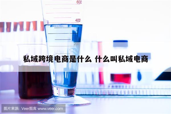 私域跨境电商是什么 什么叫私域电商