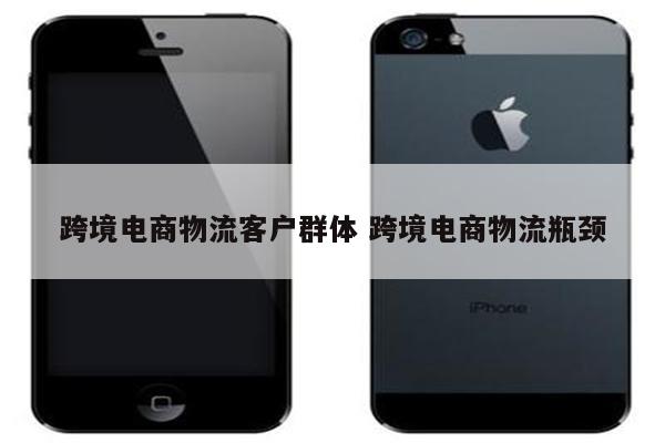 跨境电商物流客户群体 跨境电商物流瓶颈