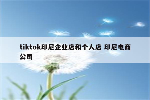 tiktok印尼企业店和个人店 印尼电商公司
