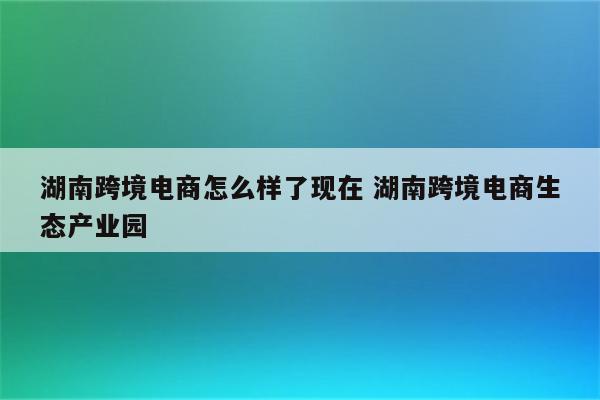 湖南跨境电商怎么样了现在 湖南跨境电商生态产业园
