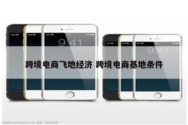 跨境电商飞地经济 跨境电商基地条件