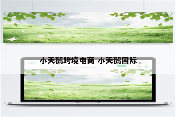 小天鹅跨境电商 小天鹅国际