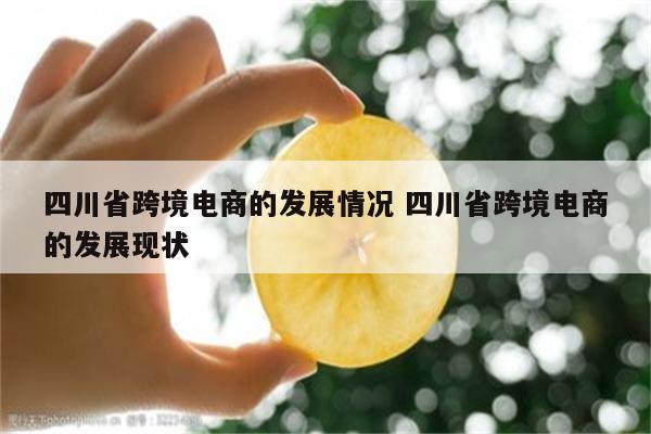 四川省跨境电商的发展情况 四川省跨境电商的发展现状