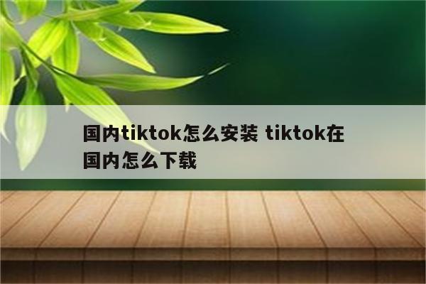 国内tiktok怎么安装 tiktok在国内怎么下载