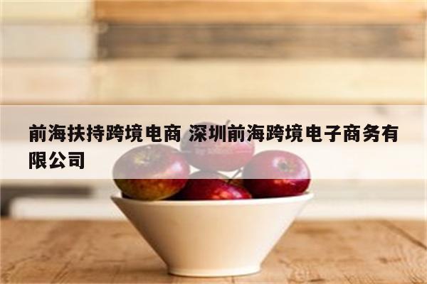 前海扶持跨境电商 深圳前海跨境电子商务有限公司