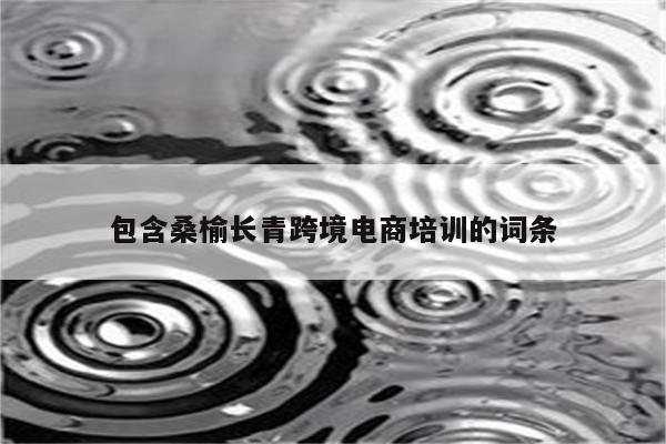 包含桑榆长青跨境电商培训的词条