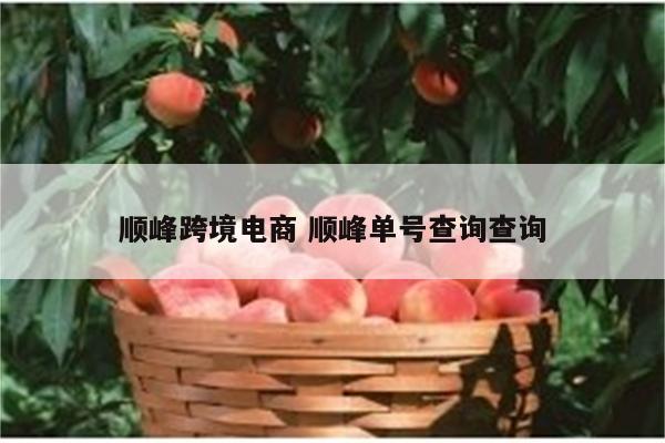 顺峰跨境电商 顺峰单号查询查询