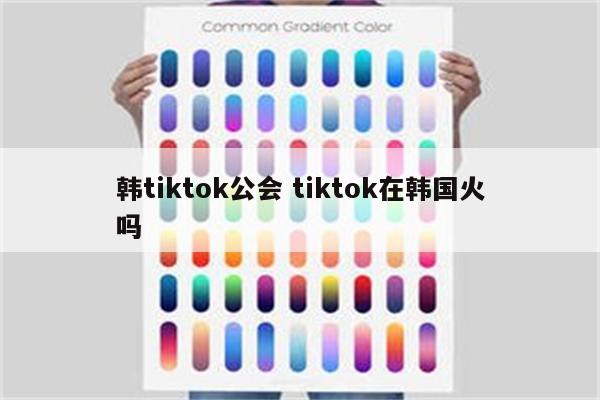 韩tiktok公会 tiktok在韩国火吗