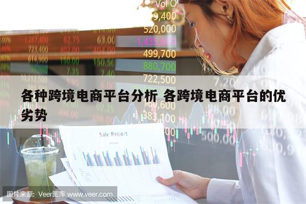 各种跨境电商平台分析 各跨境电商平台的优劣势