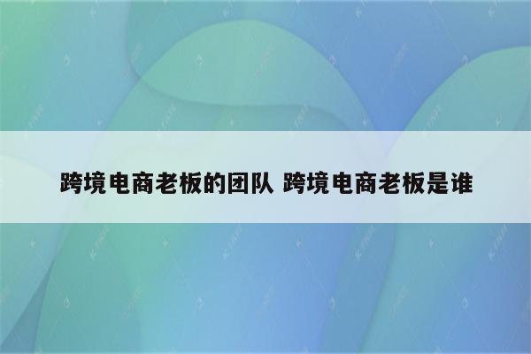 跨境电商老板的团队 跨境电商老板是谁