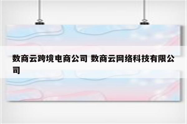数商云跨境电商公司 数商云网络科技有限公司