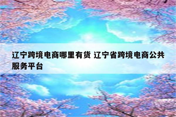 辽宁跨境电商哪里有货 辽宁省跨境电商公共服务平台