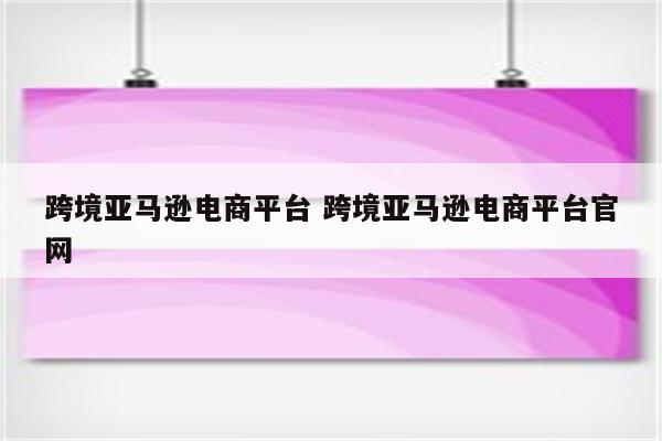 跨境亚马逊电商平台 跨境亚马逊电商平台官网