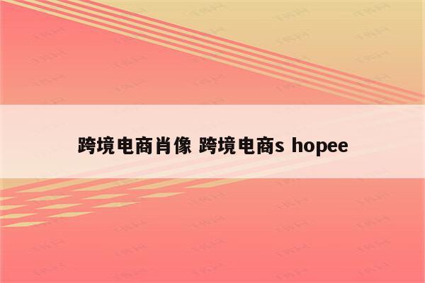 跨境电商肖像 跨境电商s hopee
