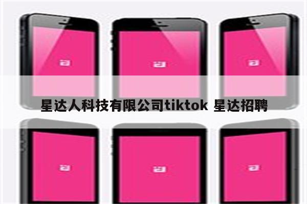 星达人科技有限公司tiktok 星达招聘